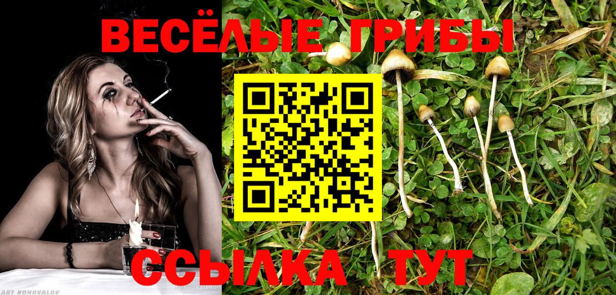 Псилоцибиновые грибы мицелий  Вход с VPN  Белорецк 